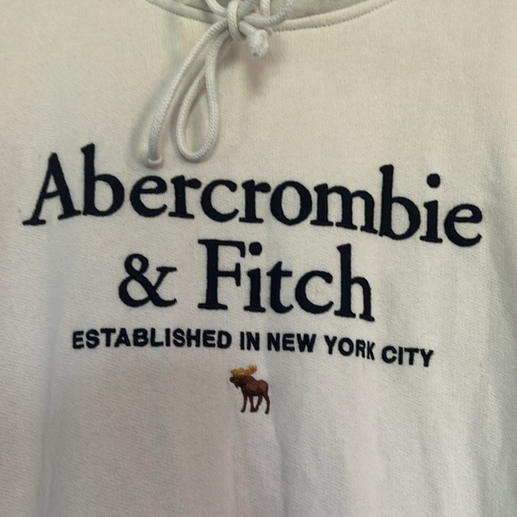 Abercrombie & Fitch Soft AF Fleece Hoodie Large - Picture 2 of 5